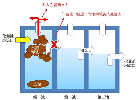 化糞池位置|【化糞池位置】化糞池位置全攻略：輕鬆找到自家的化糞池！